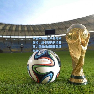 天空体育确认马德完成体检，纽卡签约只待官宣，新援或成锋线关键拼图